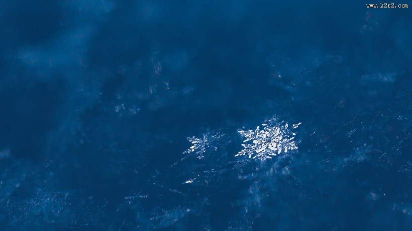 美丽的雪花图片