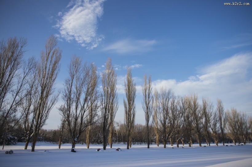 美丽的雪景图片大全