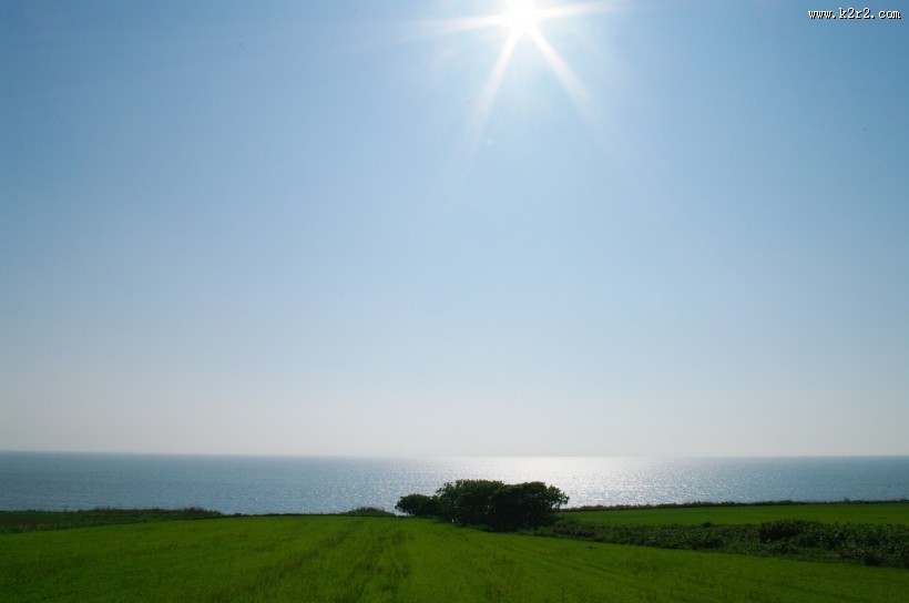 耀眼的太阳光图片