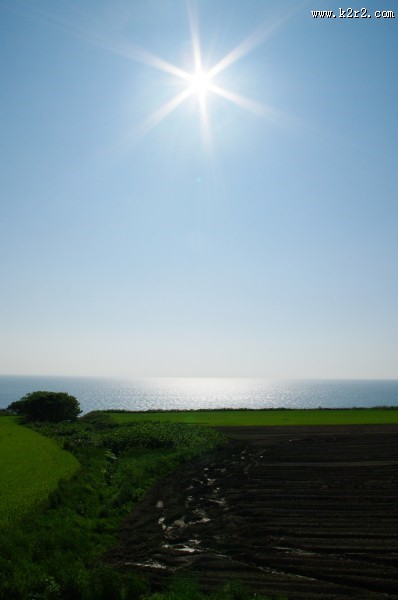 耀眼的太阳光图片