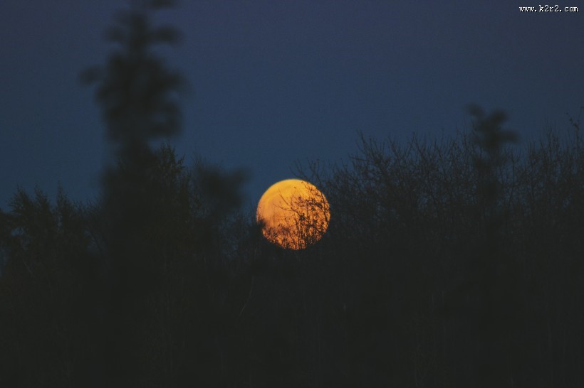 夜空中唯美的月亮图片