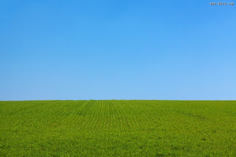 青青草地图片大全