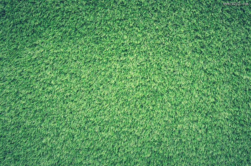 青青草地图片大全
