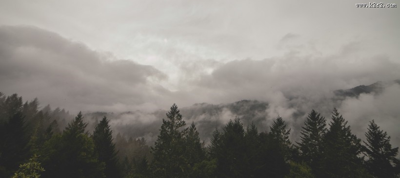 山林中的雾图片