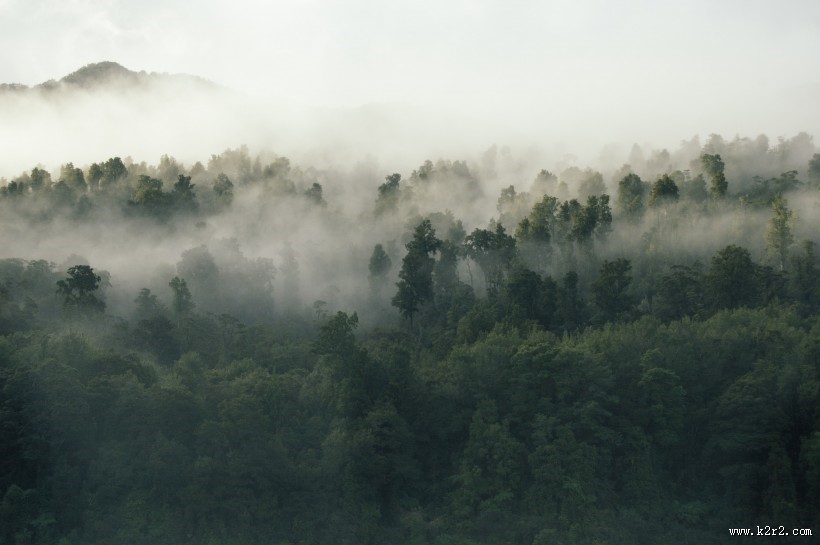 山林中的雾图片