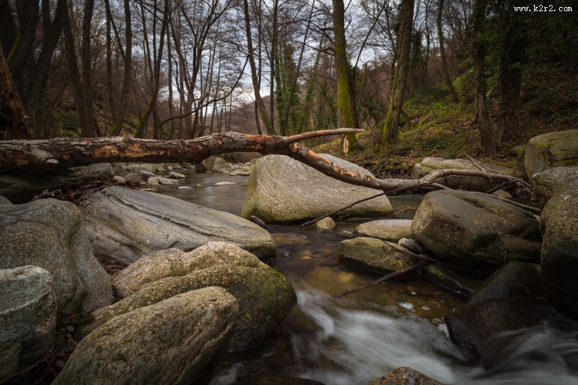 森林小溪山间流水图片