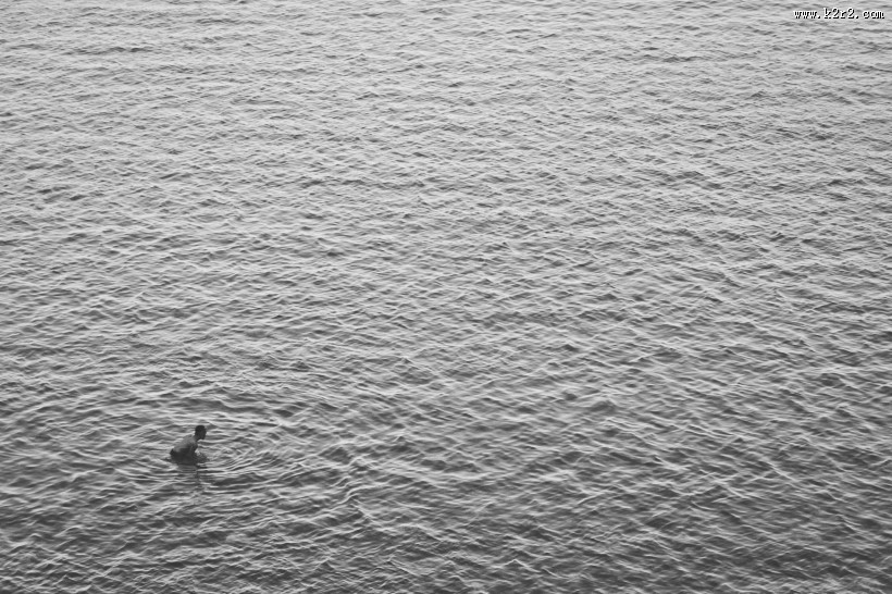 水面的波纹图片