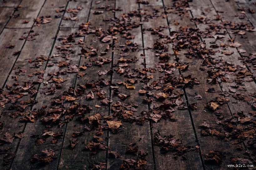 满地秋天落叶图片