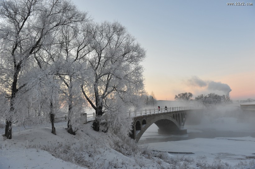 唯美的雾凇图片大全