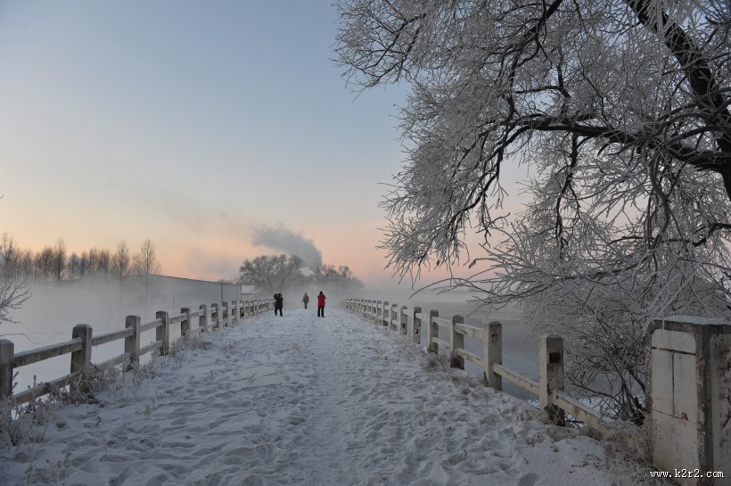 唯美的雾凇图片大全