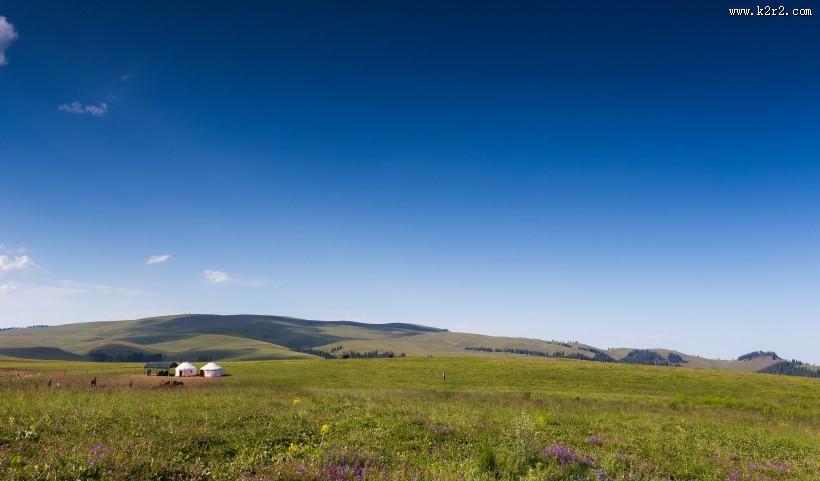 一望无际的绿色草原图片