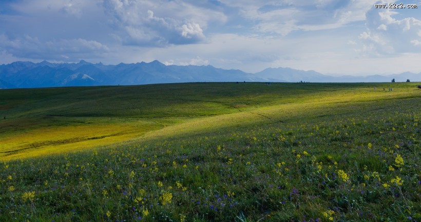 一望无际的绿色草原图片