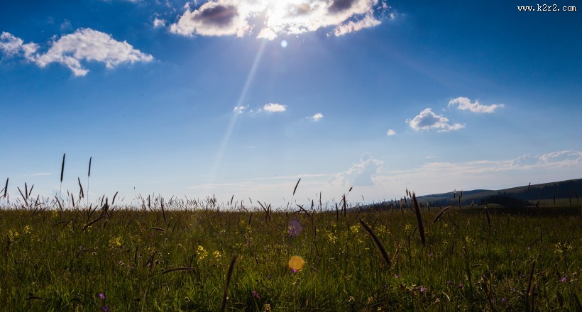 一望无际的绿色草原图片