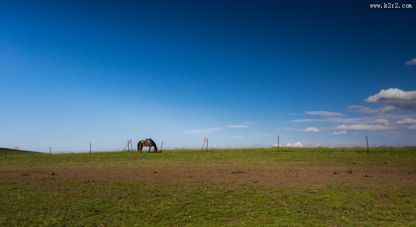 一望无际的绿色草原图片