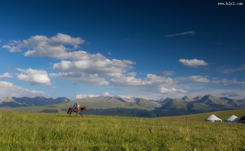 一望无际的绿色草原图片