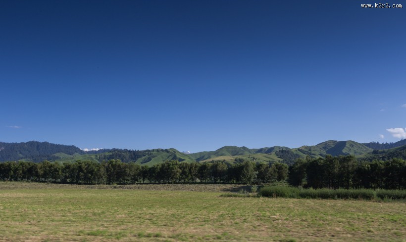 一望无际的绿色草原图片