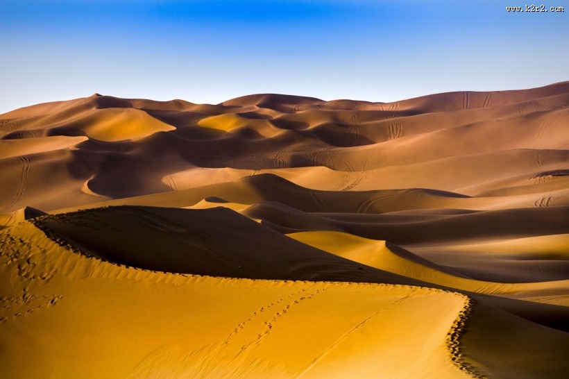 沙漠风景图片大全
