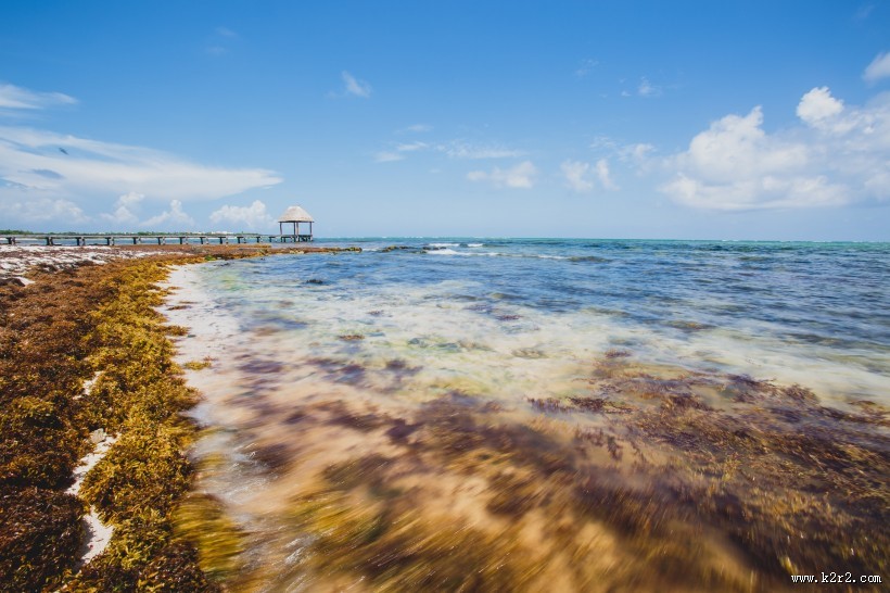 广阔的海面图片