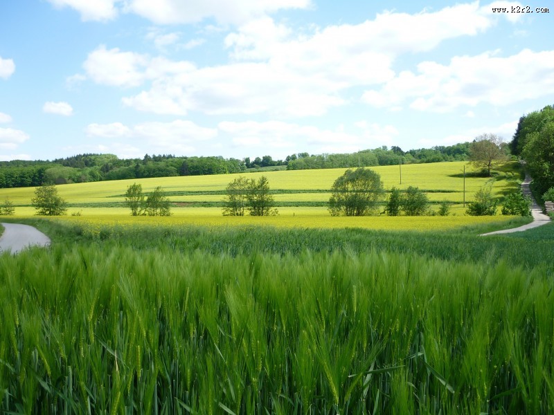 辽阔的天然草原牧场图片