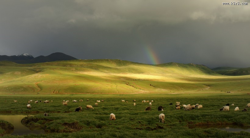 辽阔的天然草原牧场图片
