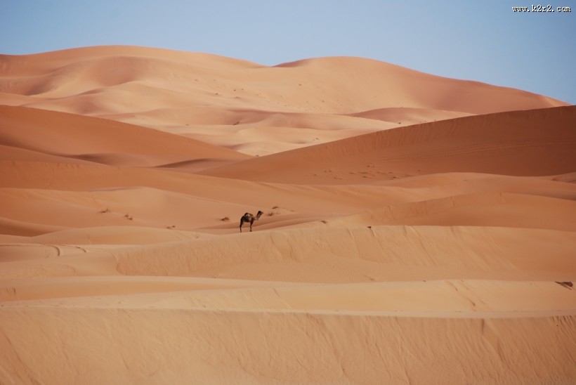 辽阔无边的沙漠图片