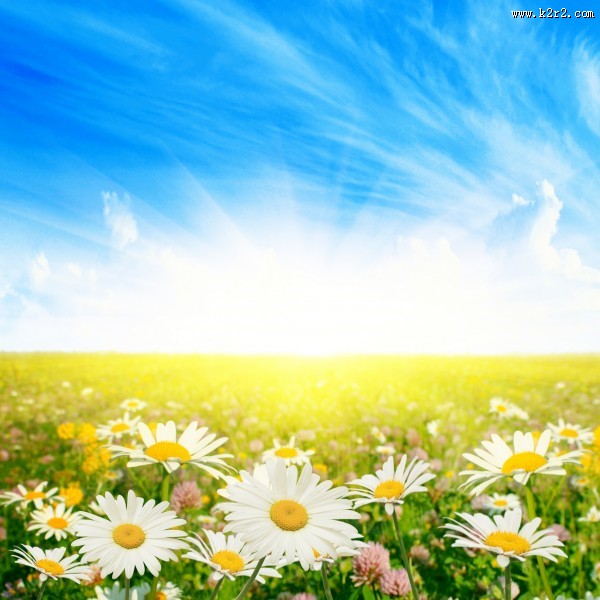 蓝天白云草地图片