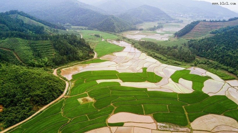 乡村田野风景图片