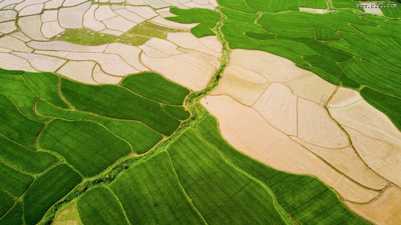 乡村田野风景图片