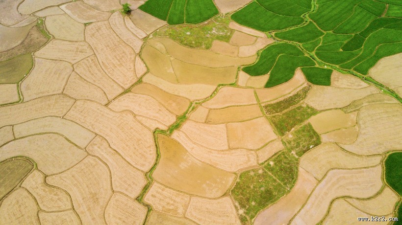 乡村田野风景图片