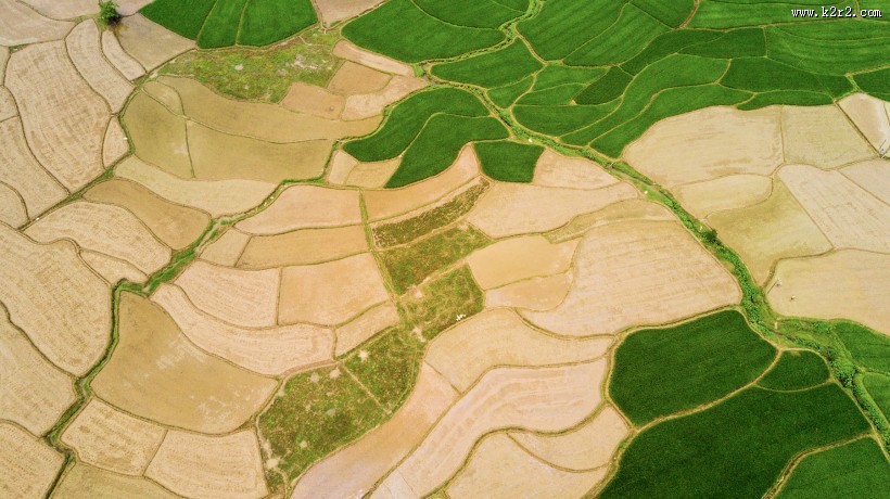 乡村田野风景图片