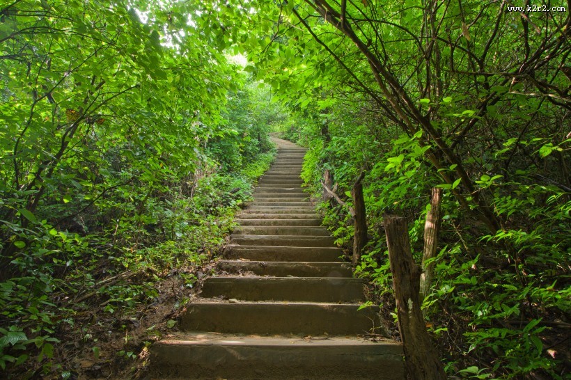 林中小路景色图片