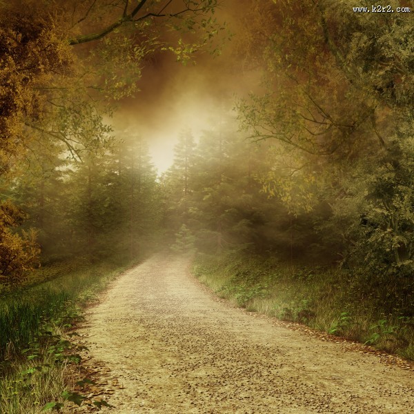 林中小路景色图片