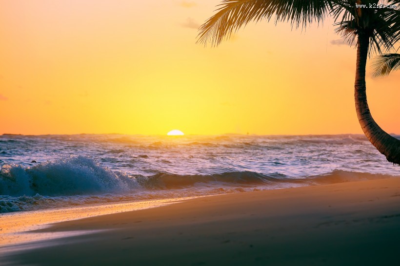 海滩椰树风景图片