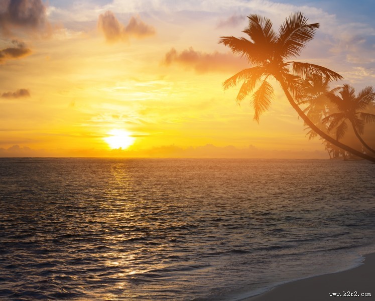海滩椰树风景图片