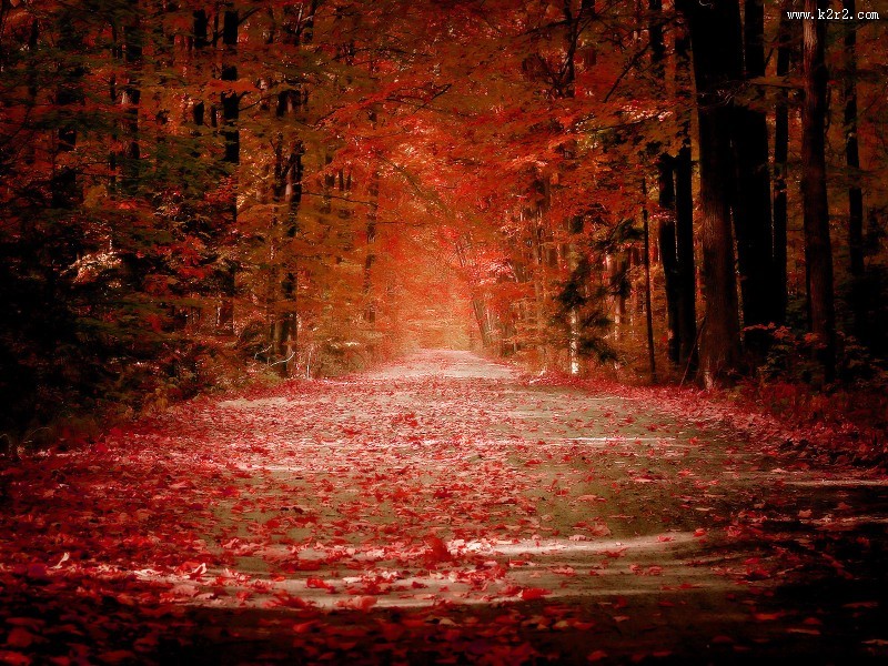 秋日美景风景图片