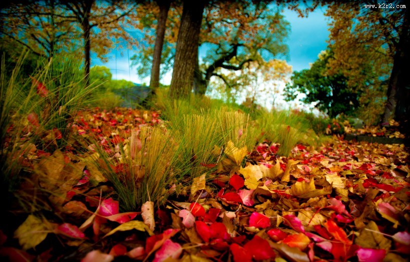 秋日美景风景图片