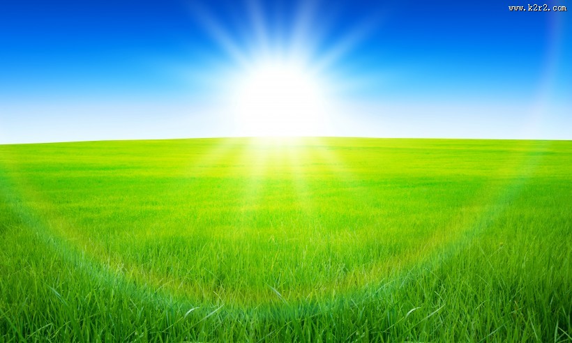 美丽的花海稻田图片