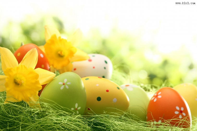 绿色草地和鸡蛋图片