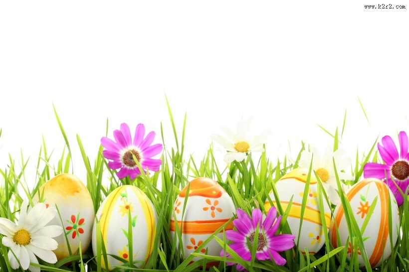 绿色草地和鸡蛋图片