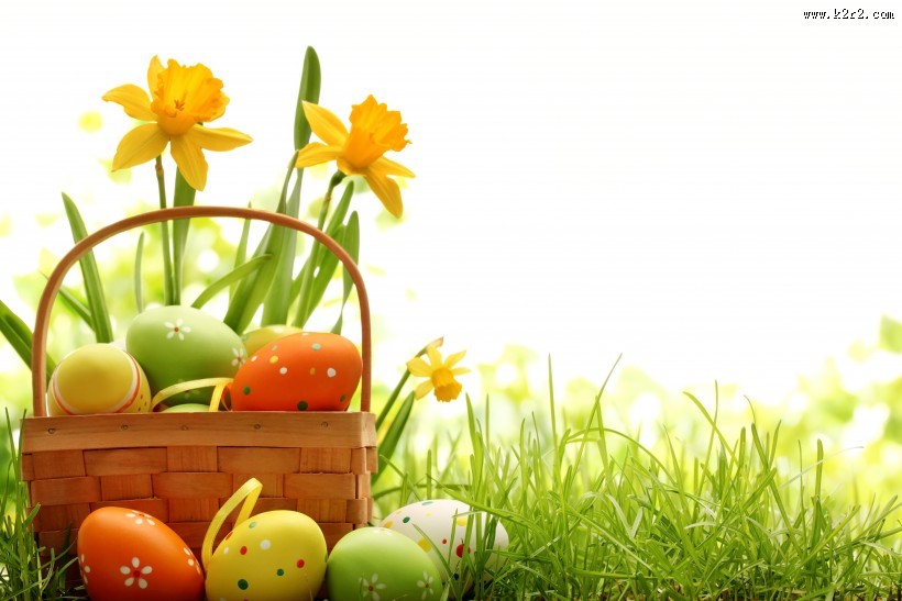 绿色草地和鸡蛋图片