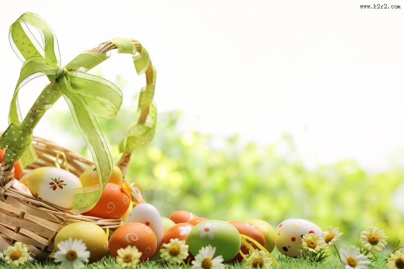 绿色草地和鸡蛋图片