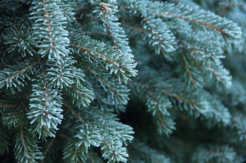 自然雪景风景图片