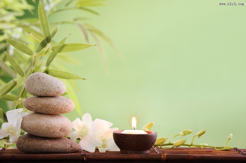 竹子石头景观图片