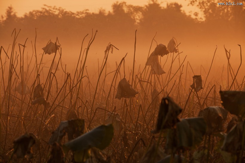 唯美晨曦风景图片