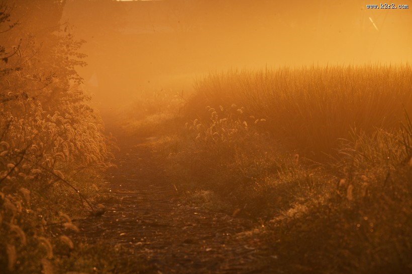 唯美晨曦风景图片