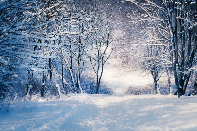 雪天道路两旁风景图片大全