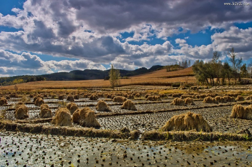 秋日的风景图片