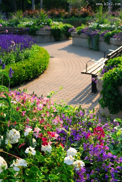 私家花园景色图片