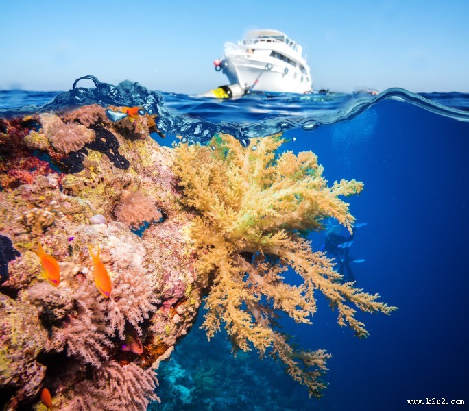 海底风景图片大全