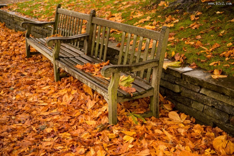 秋季落叶风景图片